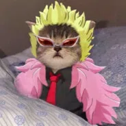 coolguy