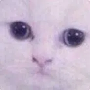Dafutka