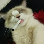 ^^
