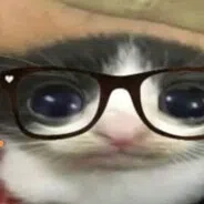 Meow