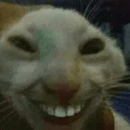 dsasaas
