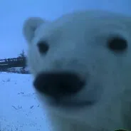 Bignum