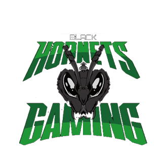 Black Hornets Gaming