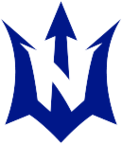 Neptune Gaming