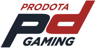 Prodota Gaming