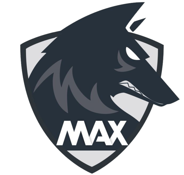 MAX.Y