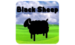 Black Sheep!